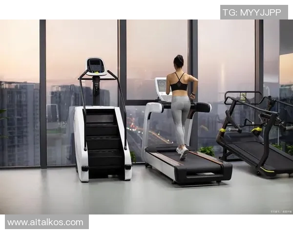 打造完美身材的秘密武器健身器材全解析与选购指南